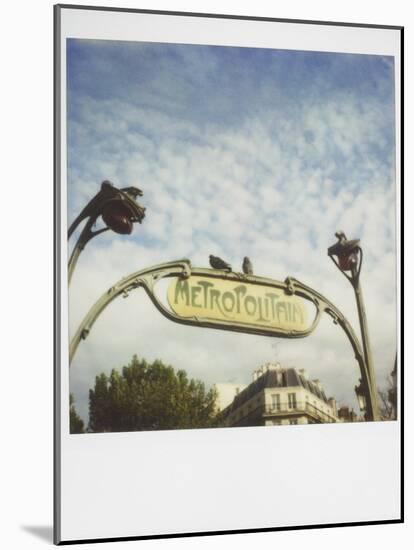 Polaroid of Two Pigeons Sitting on Sign Outside Paris Metro, Paris, France, Europe-Lee Frost-Mounted Photographic Print