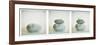 Polaroid Triptych of Sea-Worn Pebbles Created Using Three Polaroid Images-Lee Frost-Framed Photographic Print