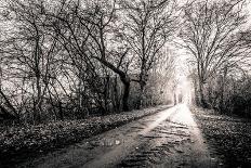 Black and White Photo of A Road Surrounded My Trees with Light at the End-Polarpx-Photographic Print