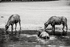 Dry Prairie by the River-Polarpx-Photographic Print