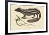 Polcat-Mark Catesby-Framed Premium Giclee Print