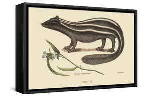 Polcat-Mark Catesby-Framed Stretched Canvas