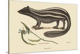 Polcat-Mark Catesby-Stretched Canvas