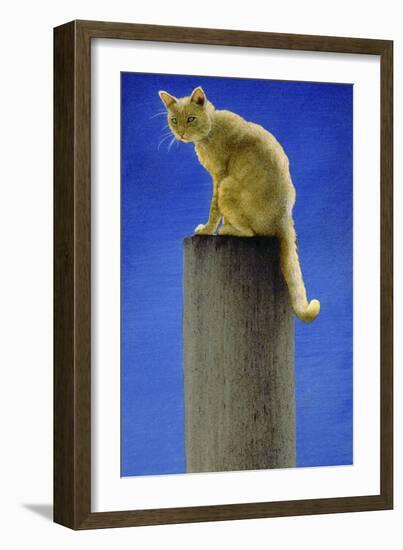 Pole Cat-Will Bullas-Framed Giclee Print
