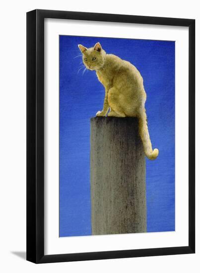 Pole Cat-Will Bullas-Framed Giclee Print