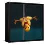 Pole Chick Inverted V-Lucia Heffernan-Framed Stretched Canvas