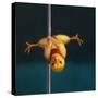 Pole Chick Inverted V-Lucia Heffernan-Stretched Canvas
