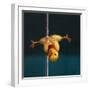 Pole Chick Inverted V-Lucia Heffernan-Framed Art Print