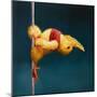 Pole Chick Stargazer-Lucia Heffernan-Mounted Art Print