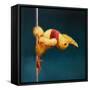 Pole Chick Stargazer-Lucia Heffernan-Framed Stretched Canvas