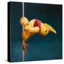 Pole Chick Stargazer-Lucia Heffernan-Stretched Canvas