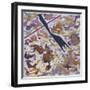 Pole Vault, c.1999-Gil Mayers-Framed Giclee Print