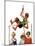 "Pole Vault,"September 3, 1927-George Brehm-Mounted Giclee Print