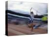 Pole Vaulter Flys over the Bar-Steven Sutton-Stretched Canvas