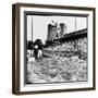 Pole Vaulter Harry Cooper's Pole Snapping During Olympic Trials-Wallace Kirkland-Framed Premium Photographic Print