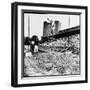 Pole Vaulter Harry Cooper's Pole Snapping During Olympic Trials-Wallace Kirkland-Framed Premium Photographic Print