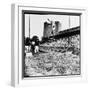 Pole Vaulter Harry Cooper's Pole Snapping During Olympic Trials-Wallace Kirkland-Framed Premium Photographic Print