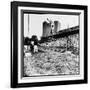 Pole Vaulter Harry Cooper's Pole Snapping During Olympic Trials-Wallace Kirkland-Framed Photographic Print