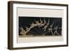 Pole Vaulter-Étienne Jules Marey-Framed Photographic Print