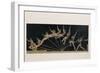 Pole Vaulter-Étienne Jules Marey-Framed Photographic Print