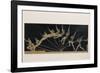 Pole Vaulter-Étienne Jules Marey-Framed Photographic Print