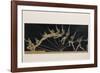 Pole Vaulter-Étienne Jules Marey-Framed Photographic Print