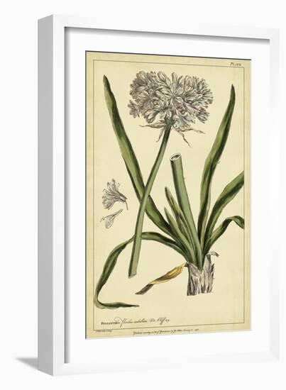 Polianthes, Pl. CCX-Phillip Miller-Framed Art Print