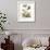 Polianthius, Oxalis and Iris-Georg Ehret-Framed Giclee Print displayed on a wall