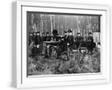 White Frame