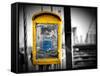 Police Emergency Call Box on the Walkway of the Brooklyn Bridge in New York City-Philippe Hugonnard-Framed Stretched Canvas