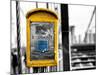 Police Emergency Call Box on the Walkway of the Brooklyn Bridge in New York-Philippe Hugonnard-Mounted Photographic Print