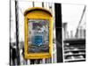 Police Emergency Call Box on the Walkway of the Brooklyn Bridge in New York-Philippe Hugonnard-Stretched Canvas