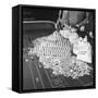 Police Guarding $500,000 in Silver Being Used During a WWII War Bond Rally in a Gambling Casino-John Florea-Framed Stretched Canvas