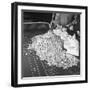 Police Guarding $500,000 in Silver Being Used During a WWII War Bond Rally in a Gambling Casino-John Florea-Framed Photographic Print