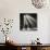 Police in Waiting Room of the Union Station, Chicago-null-Photographic Print displayed on a wall