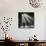 Police in Waiting Room of the Union Station, Chicago-null-Mounted Photographic Print displayed on a wall