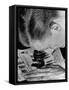 Police Investigator Examining a Set of Fingerprints-Carl Mydans-Framed Stretched Canvas