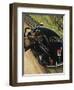 "Policeman with Flat Tire," March 24, 1945-Stevan Dohanos-Framed Giclee Print