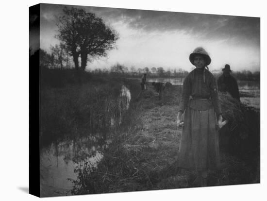 Poling the Marsh Hay, 1886 platinum print from glass negative-Peter Henry Emerson-Stretched Canvas