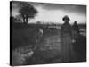 Poling the Marsh Hay, 1886 platinum print from glass negative-Peter Henry Emerson-Stretched Canvas