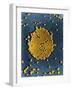 Poliovirus, TEM-Science Source-Framed Giclee Print