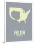 Polish America Poster 1-NaxArt-Framed Art Print