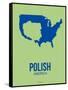 Polish America Poster 3-NaxArt-Framed Stretched Canvas