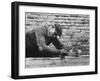 Polish Carpenter in Zakopano-Paul Schutzer-Framed Photographic Print