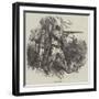 Polish Costumes-null-Framed Giclee Print