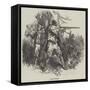 Polish Costumes-null-Framed Stretched Canvas