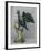 Polish Eagle-Shaped Vessel from King John Casimirs Set, C1666-Heinrich Mannlich-Framed Giclee Print