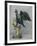 Polish Eagle-Shaped Vessel from King John Casimirs Set, C1666-Heinrich Mannlich-Framed Giclee Print