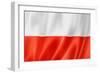 Polish Flag-daboost-Framed Art Print