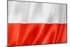 Polish Flag-daboost-Mounted Art Print